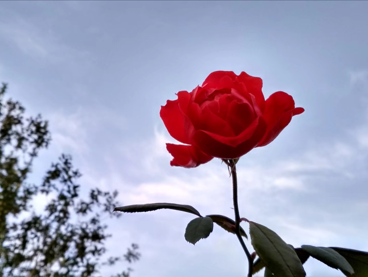 陇州春节的习俗,陇州民俗