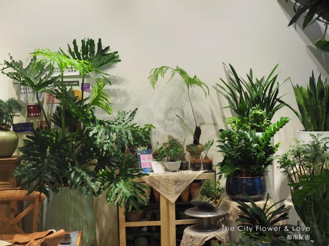 都市花语:从10平方米的小花店,到年营业额300万的生活美学馆