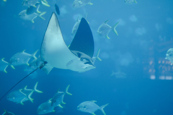 三亚度假公寓58平,三亚度假公寓两室