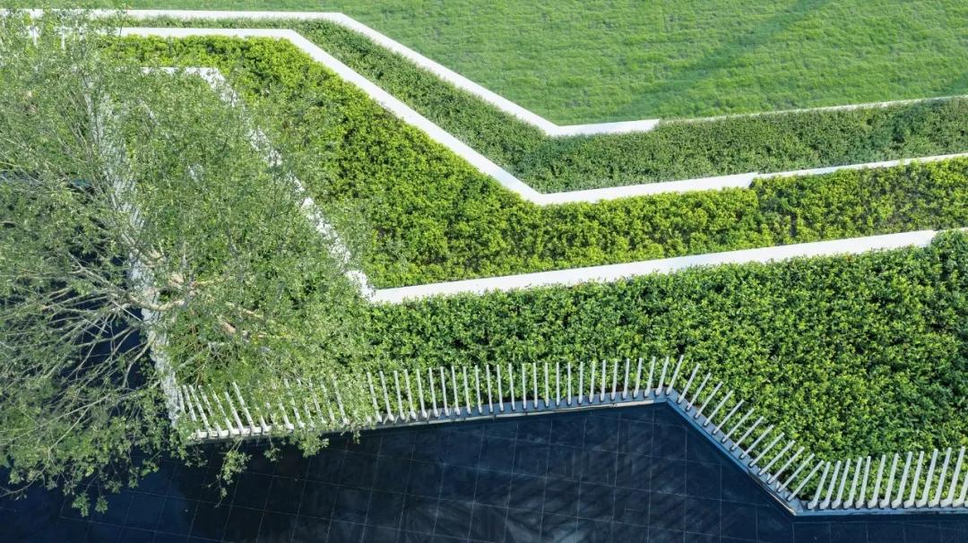 2019鸟瞰图,推荐鸟瞰图