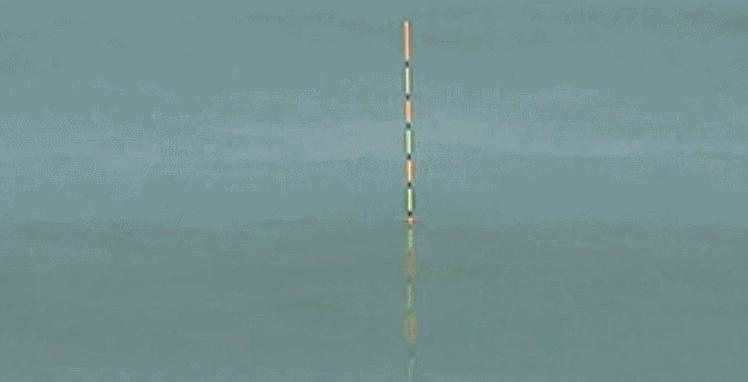 弹簧钩钓鲢鳙的最佳钩距,弹簧钩钓鲢鳙最佳钩距