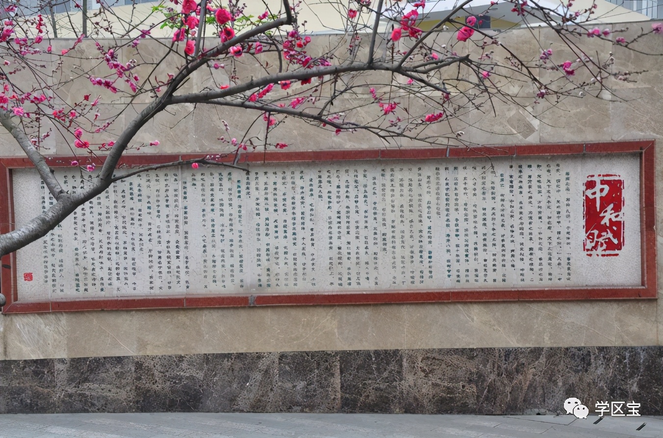 双流中和中学升学率,成都市双流区中和中学