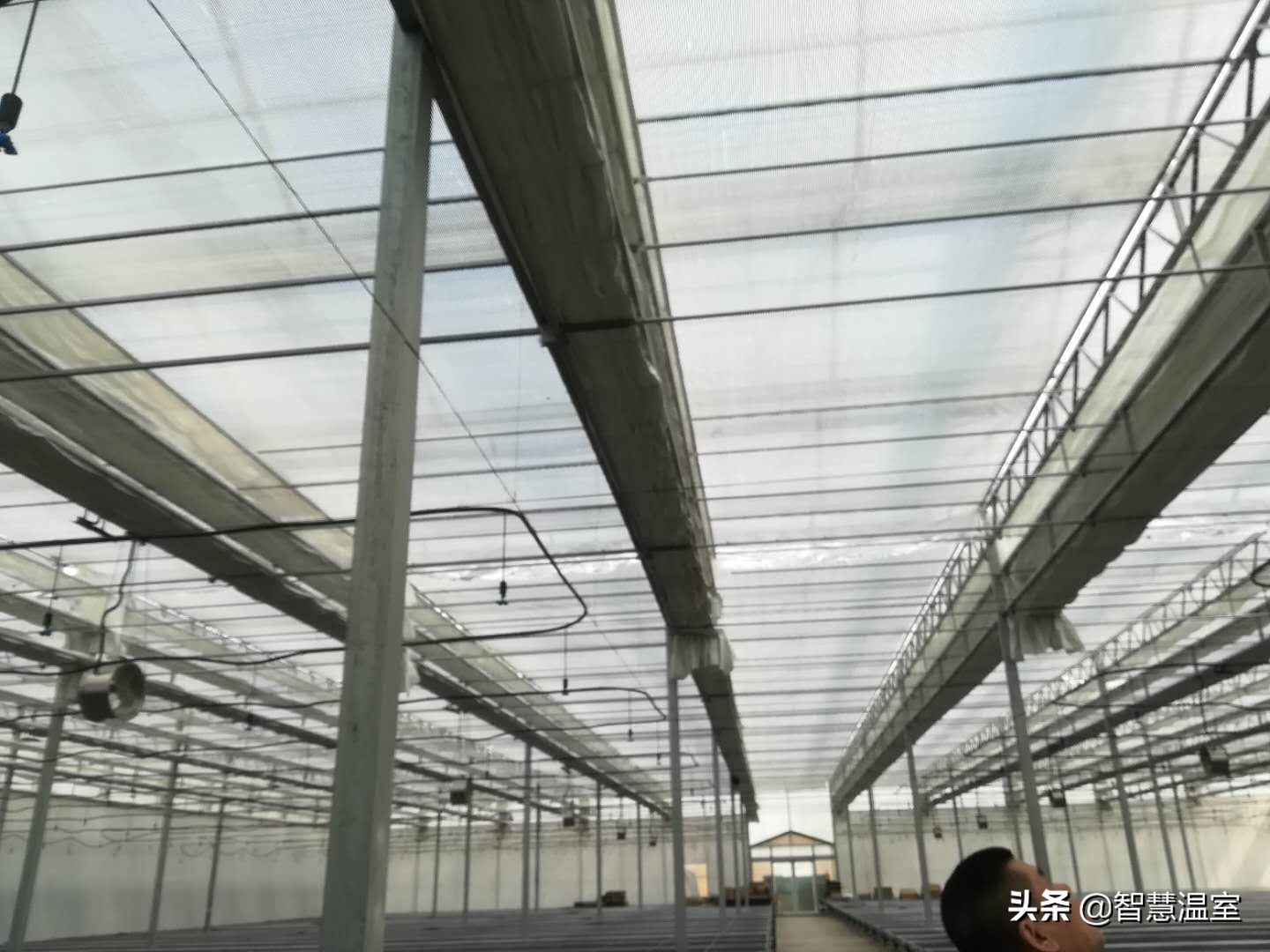 盘点温室大棚的优缺点,看看哪个类型适合你