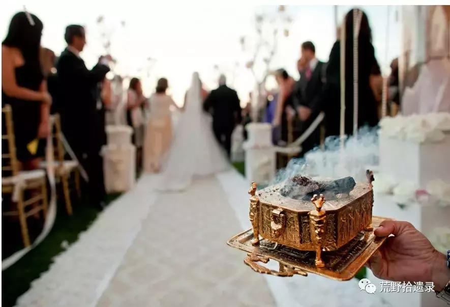 改变世界的植物:骆驼蓬PeganumharmalaL.