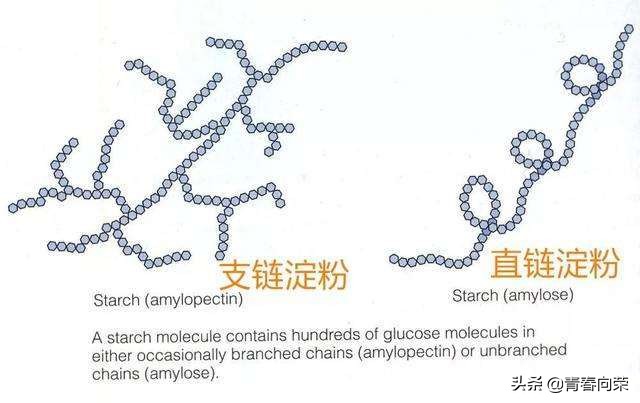 脱糖养生电饭煲真的有用吗,巧釜脱糖电饭煲怎么样