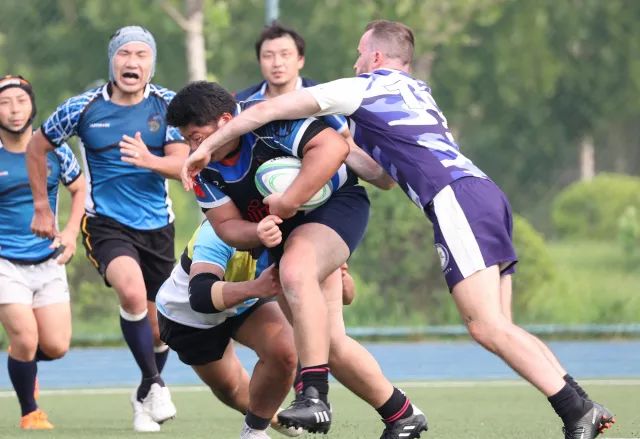 佳能rf100-500mm镜头拍鸟,佳能长焦相机100倍