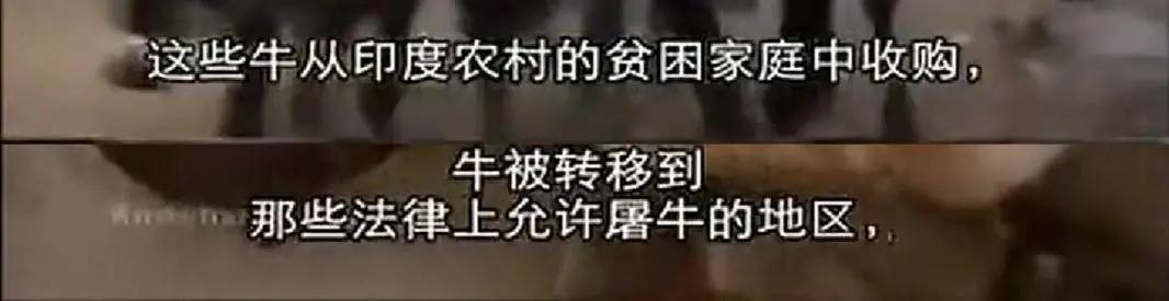 总统喊你来看片，这波硬核安利我吃了