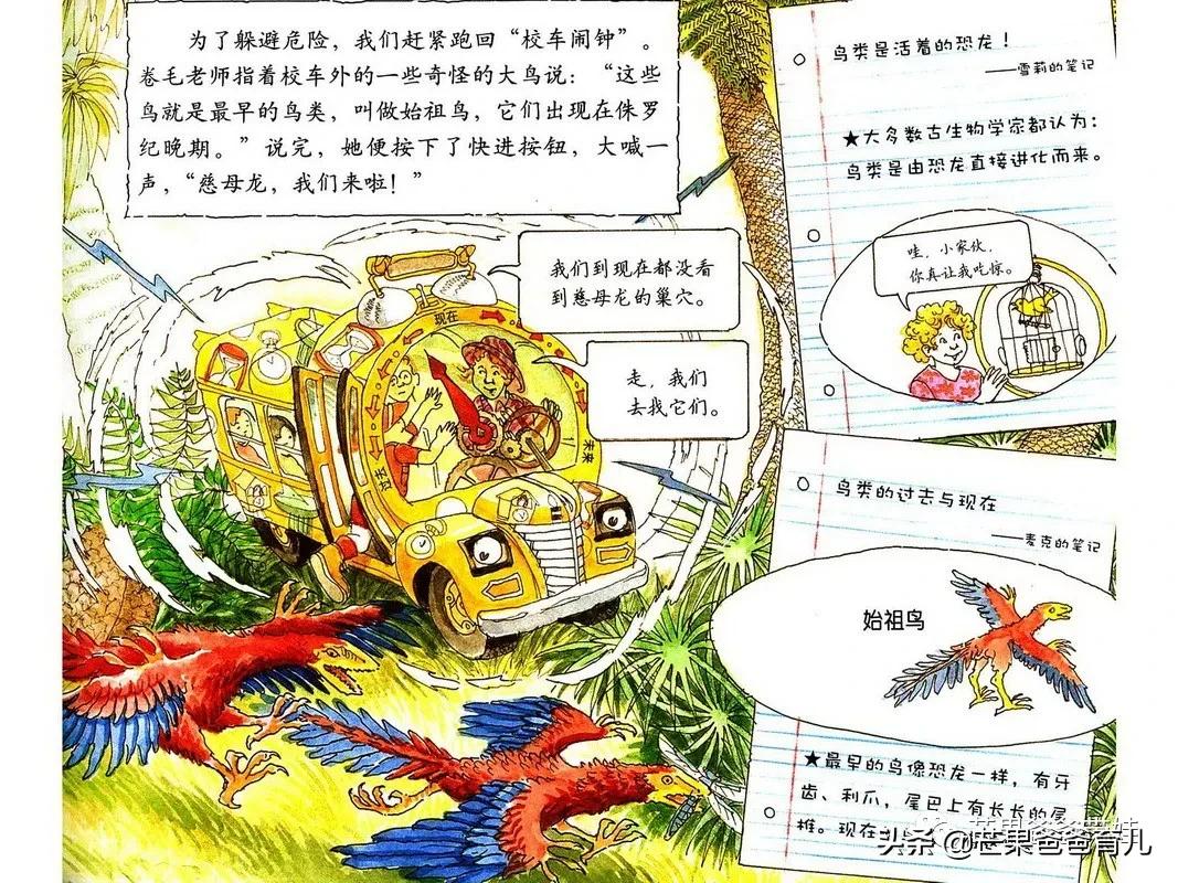 幼儿园教师必读的绘本,适合幼儿教师看的绘本