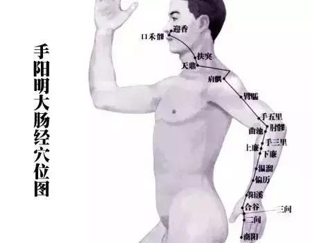 下身胖竟然是肝胆不好?你哪个部位胖?请对号入座