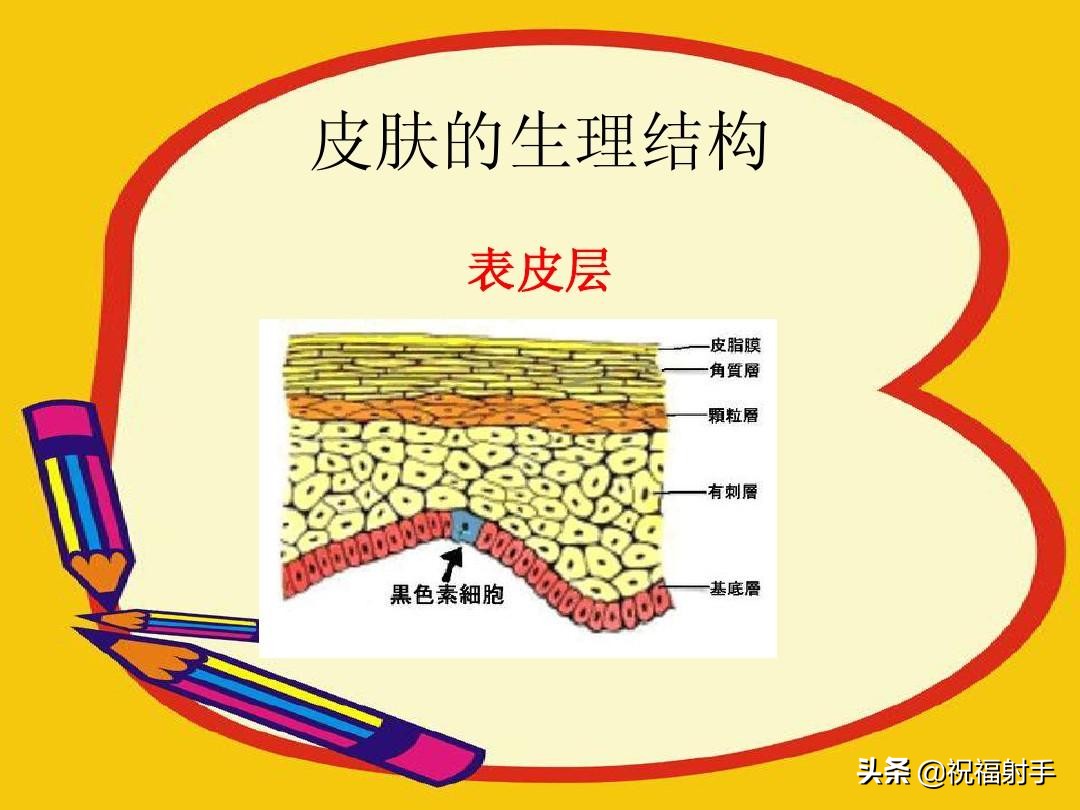 安全有效美容,最有效安全无副作用的美容方式