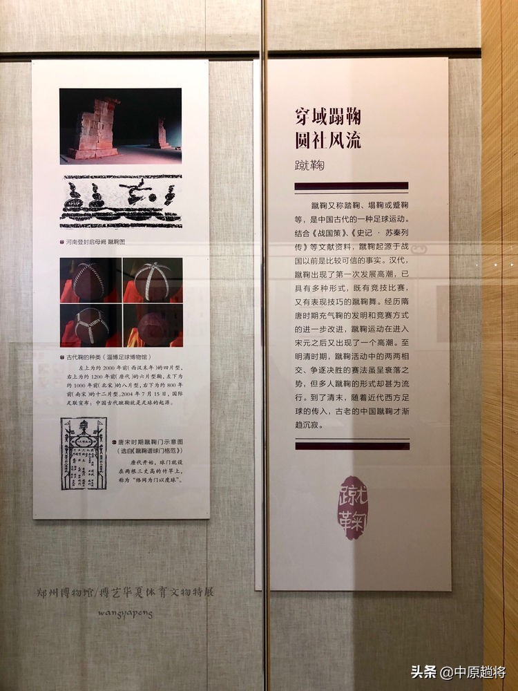 古代的体育运动你知道多少？郑州博物馆看华夏体育*物文**特展
