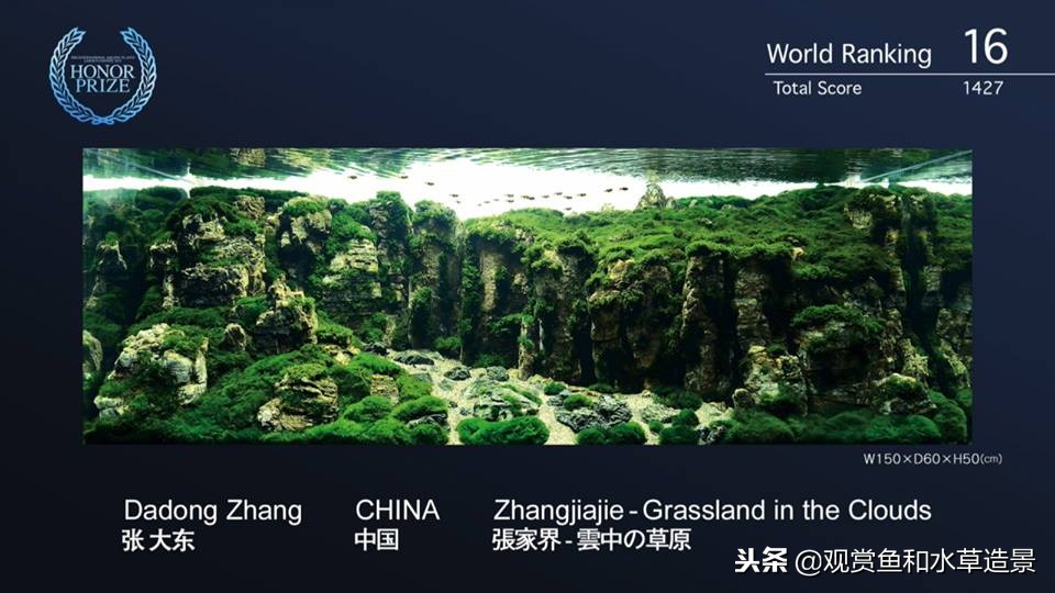 草缸使用戊二醛去除藻类需要几天,草缸藻类治理