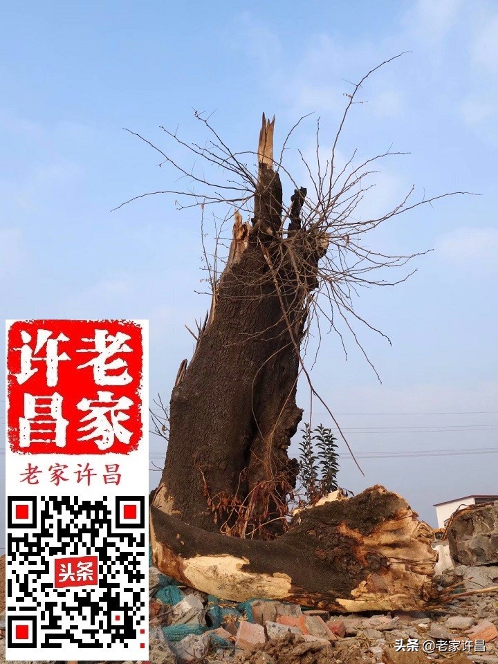 屋坚强，七百清泉湖，河南最大寺……许昌此处故事知多少