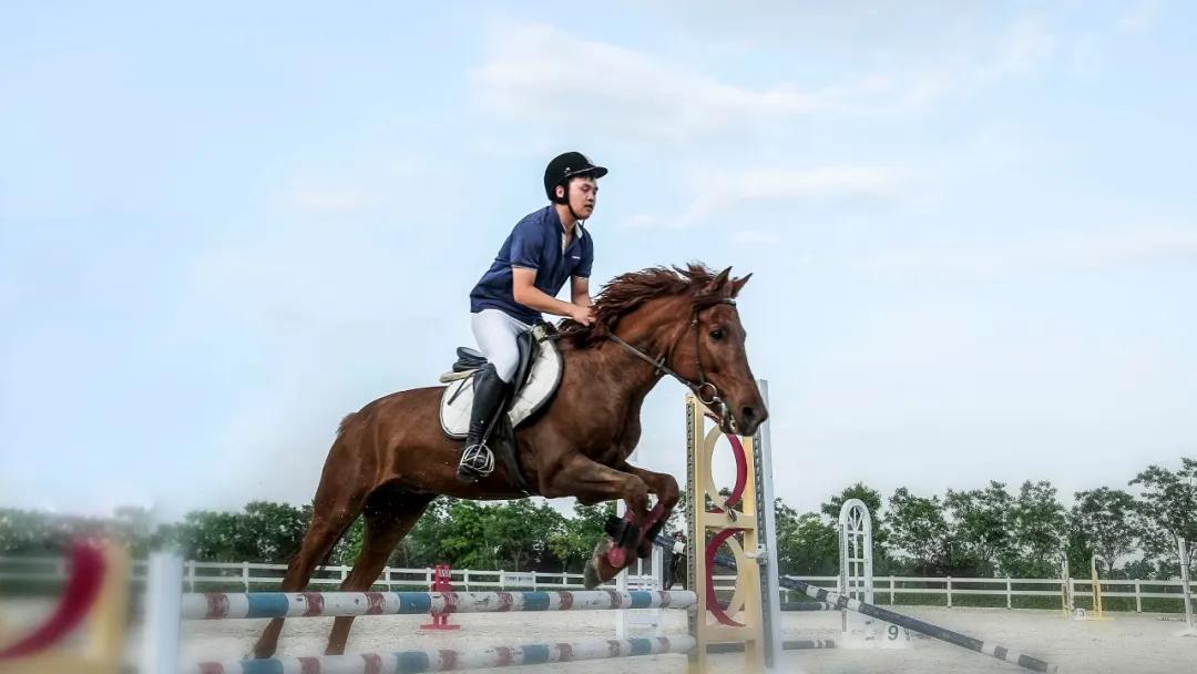 什么样的房子才有家的感觉,什么样的房子才是好房子