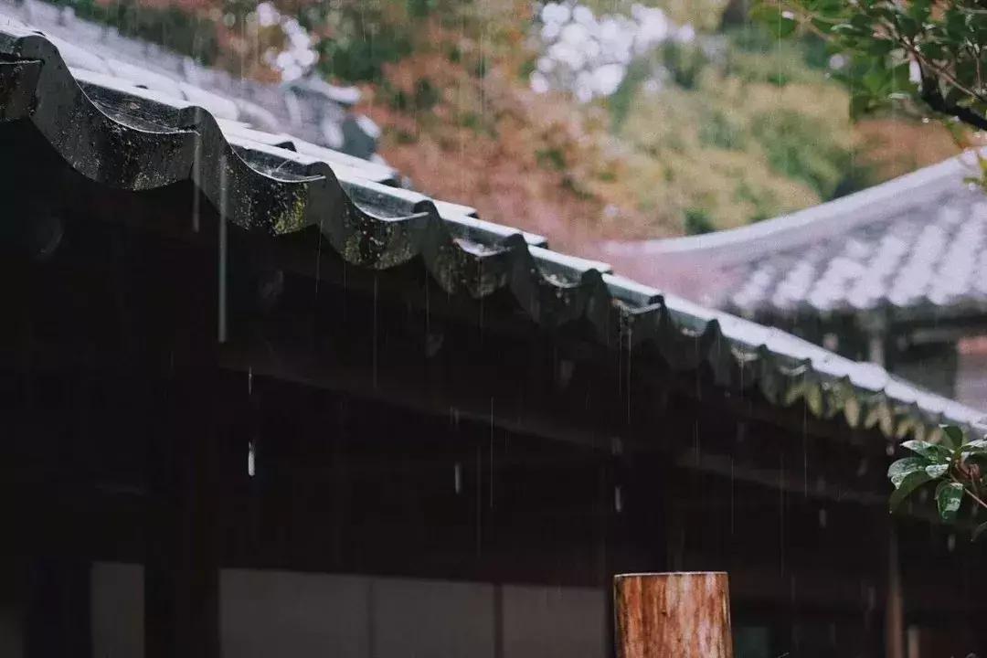 人不为己天诛地灭原来是这个意思,人不为己天诛地灭原意是什么