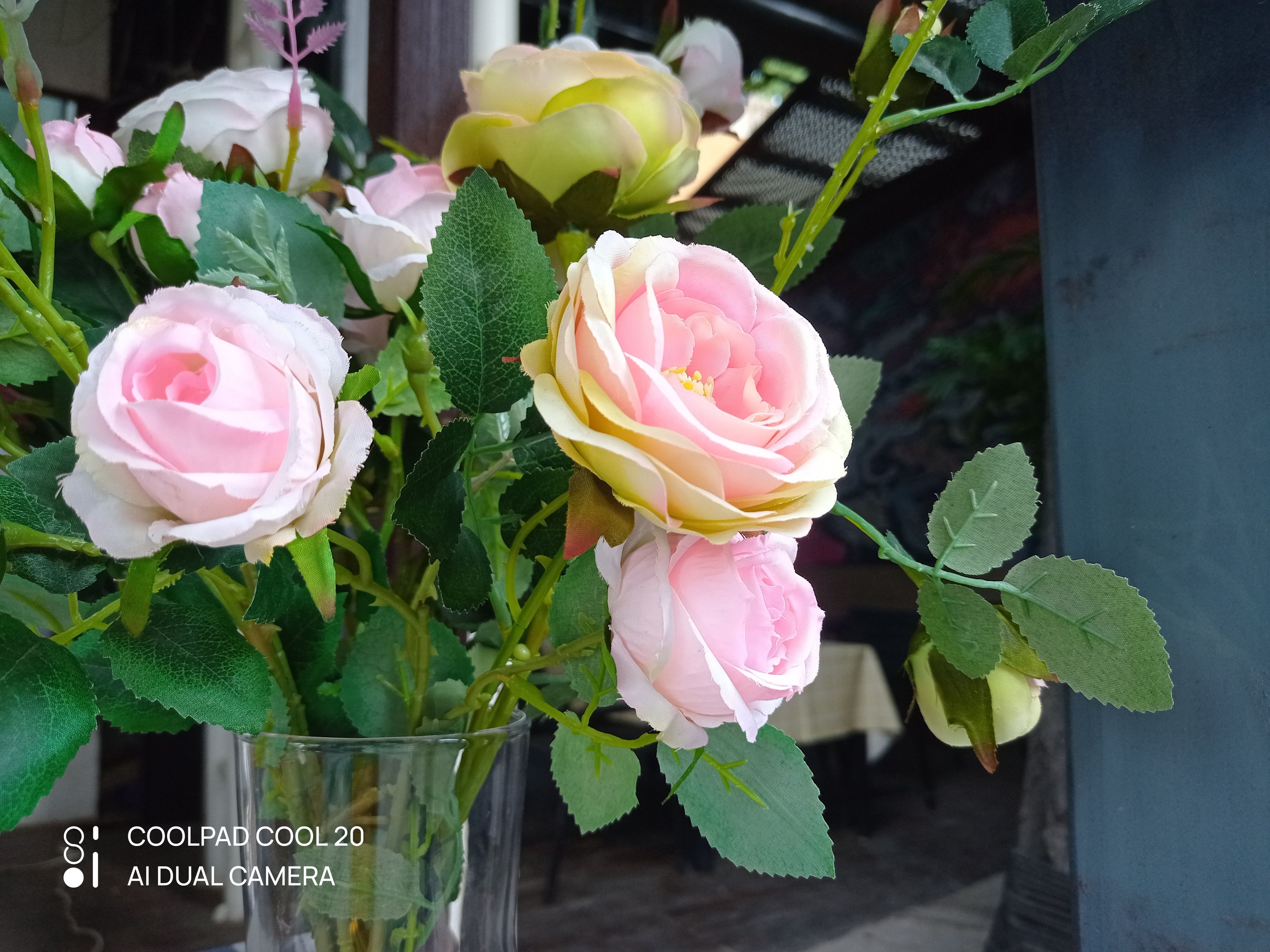 酷派cool20手机699,酷派cool20+