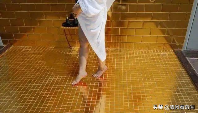 越南顶级黄金酒店,黄金酒店越南