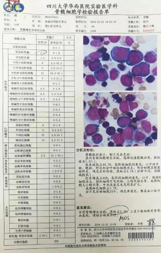 骨髓涂片中幼粒细胞17%是什么原因,骨髓涂片原始粒细胞正常值是多少