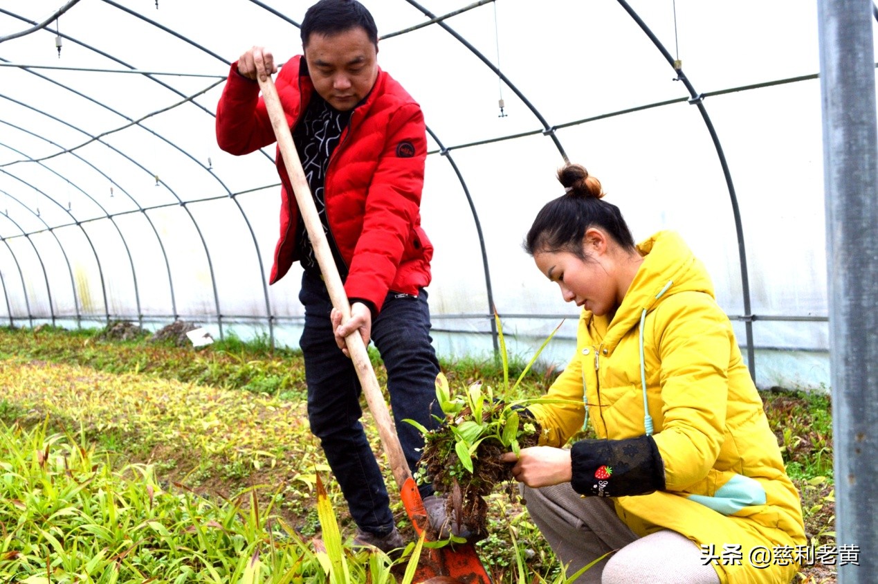 李文辉创业,李文辉生涯规划