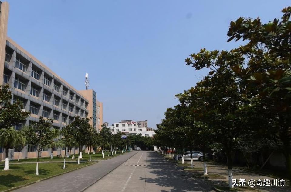 四川曾经的两所顶级专科学校，一个已经成功升本，一个仍在坚持