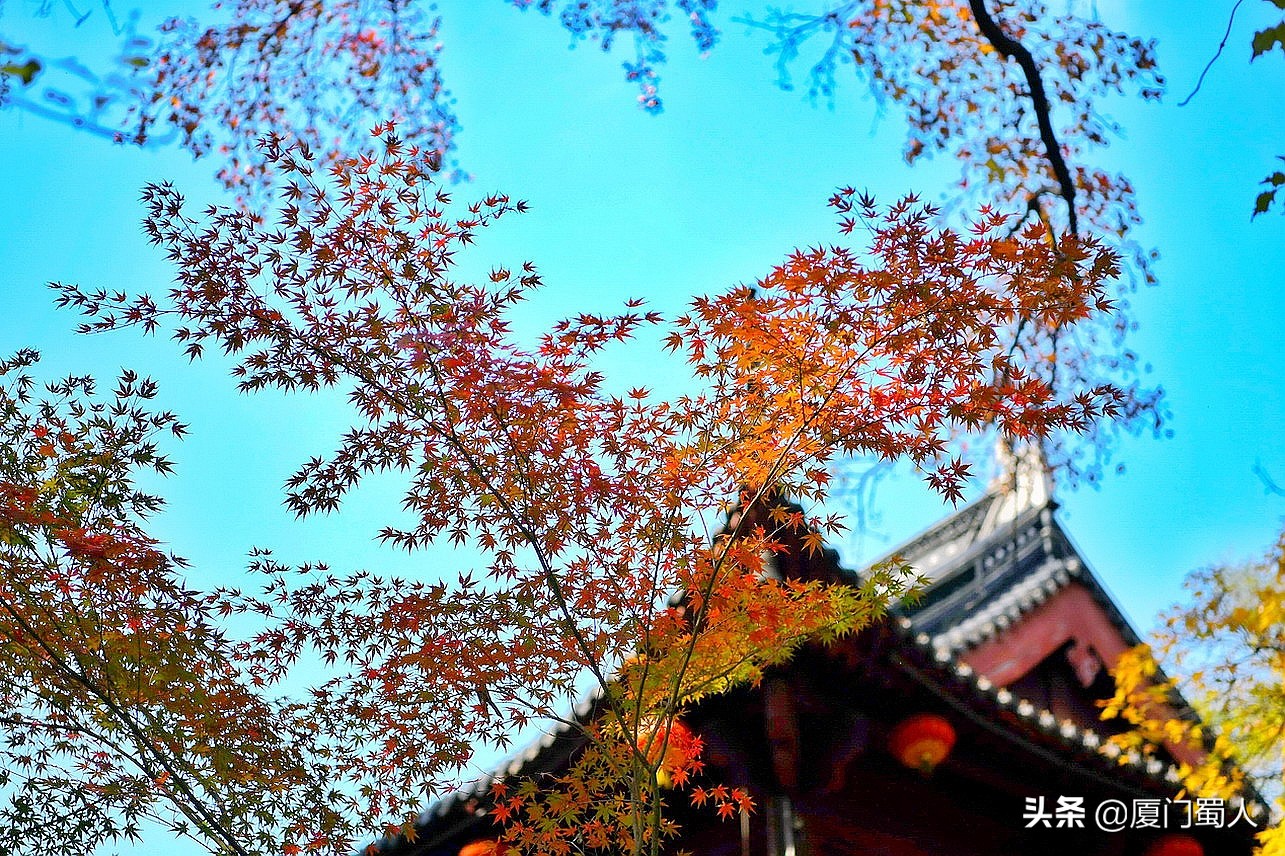 南京四大赏枫地 (南京赏枫胜地)