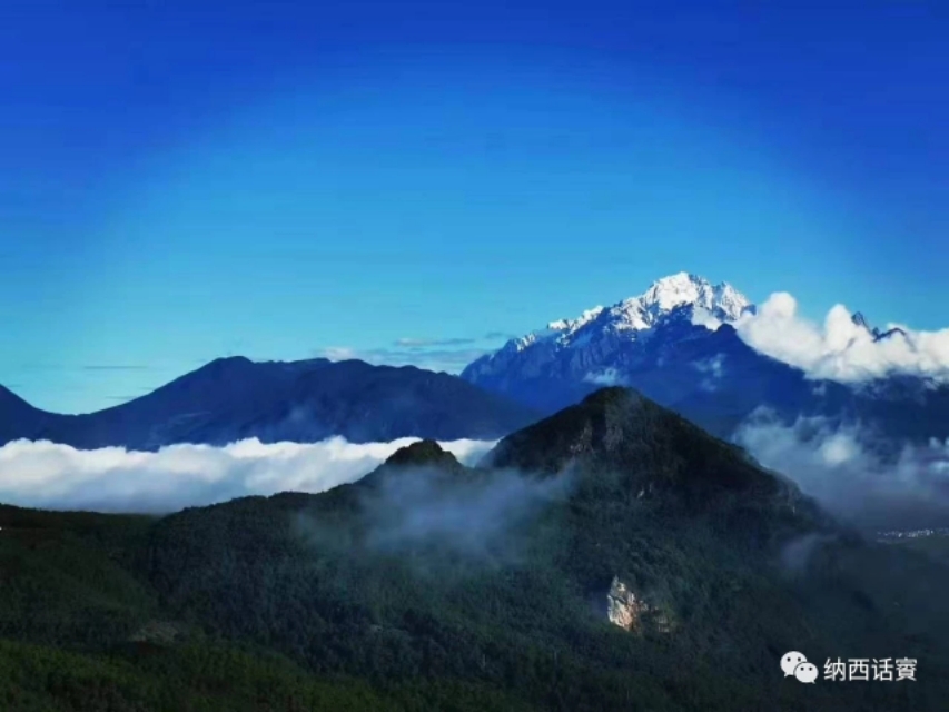 云南丽江杨杰宏,杨杰宏柔术