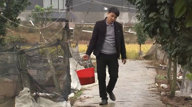 泥鳅养殖致富案例,80后小伙返乡养泥鳅