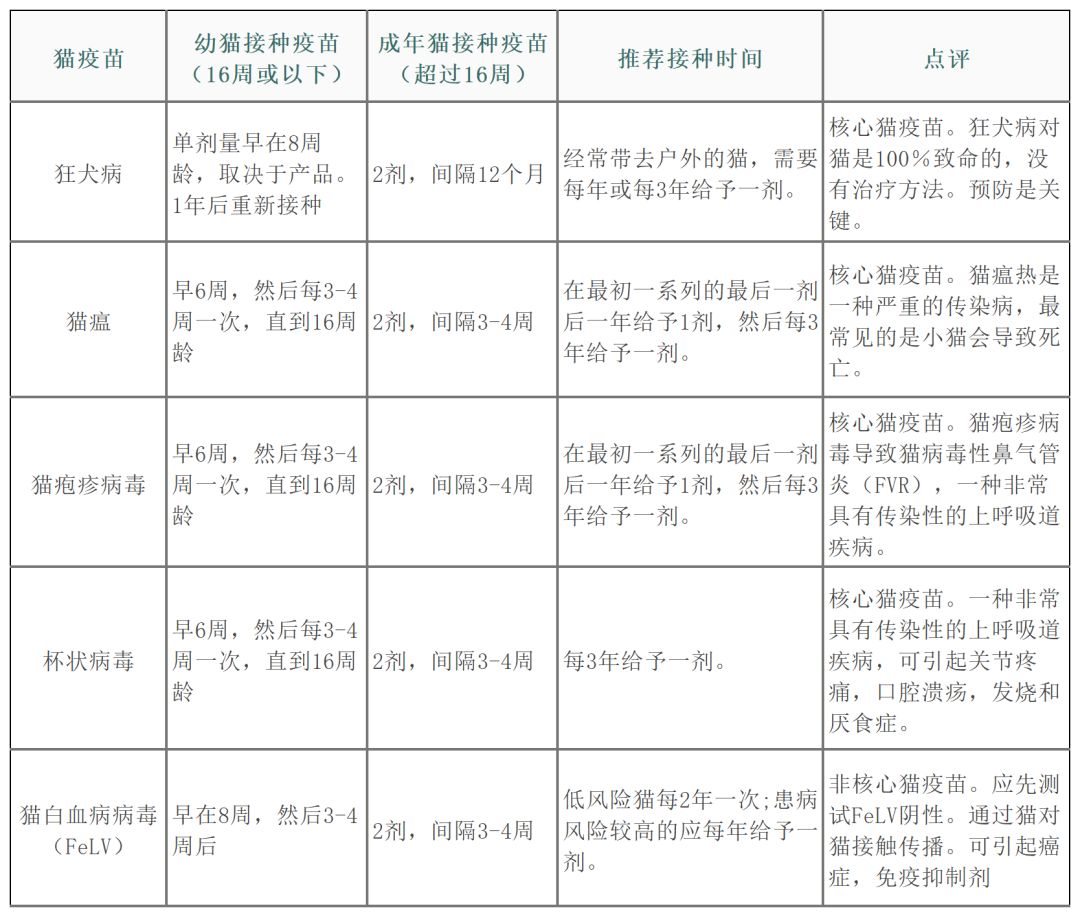 给宠物打疫苗需要什么资质,宠物每年都需要打狂犬疫苗吗