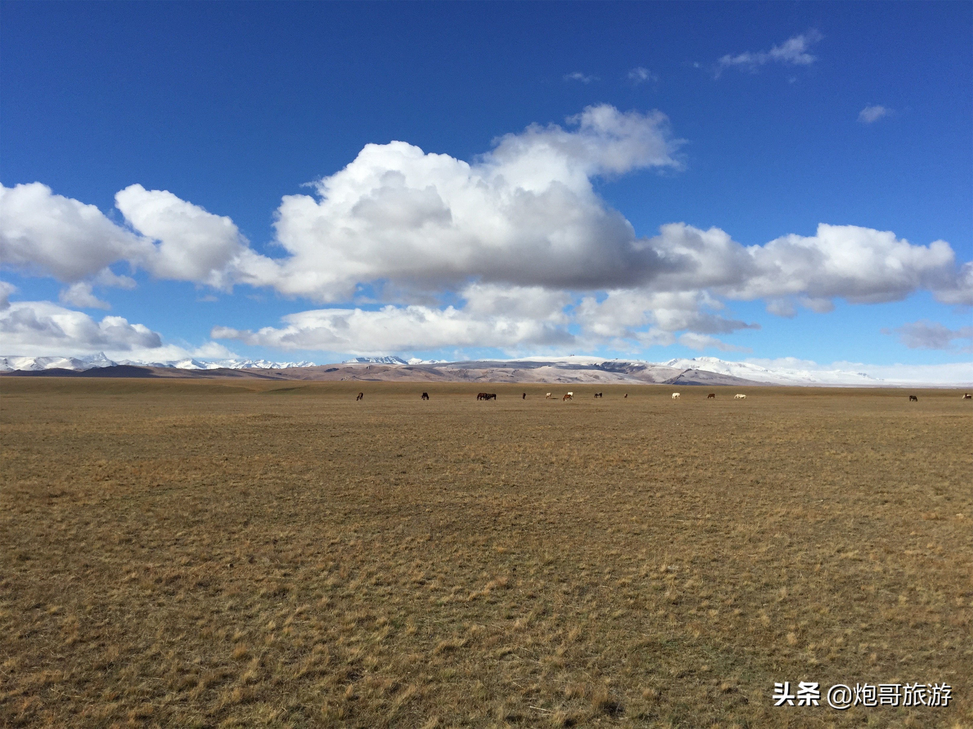 炮哥游记之初涉*疆新**《11》