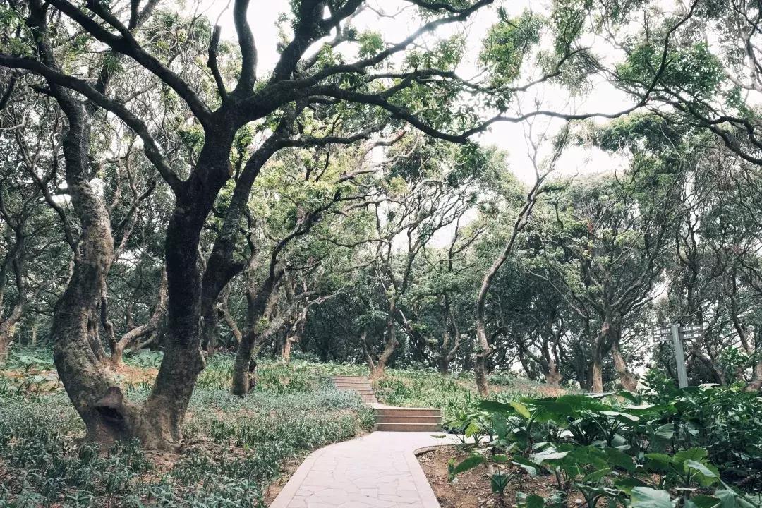 在福田区下梅林生活体验好吗,下梅林晚上适合去的地方