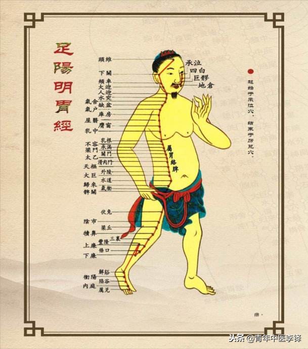 痿证独取阳明的依据是什么,如何理解治疗痿独取阳明的原则