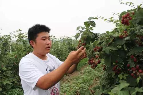 淮南返乡大学生,回乡创业的90后小伙子