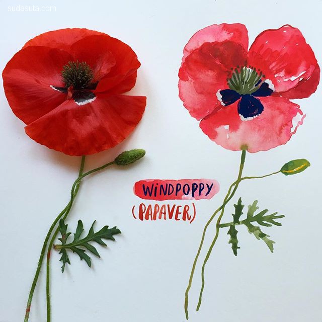 插画师carolyngavin绘画作品,carolyn插画