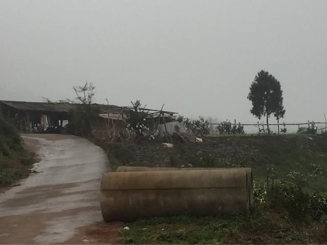 外嫁女能分土地补偿款吗,外嫁女户口在娘家土地该如何确权