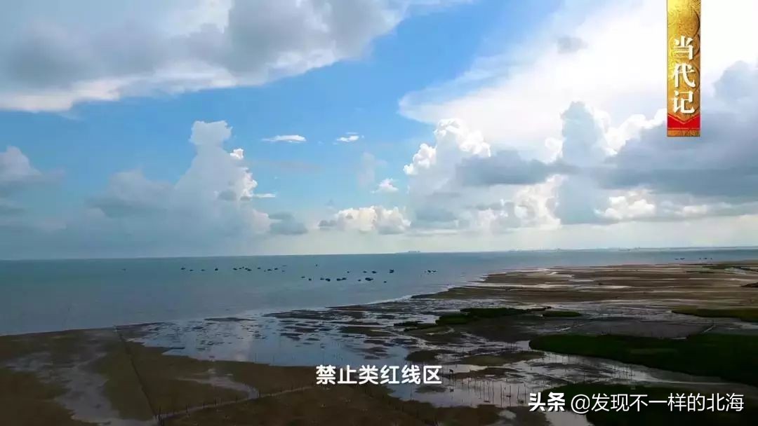广西合浦是怎么样的?央视是这样全方位介绍这美丽的珠乡的