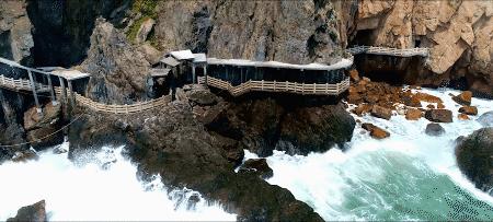 浙江景点花鸟岛,浙江风景花鸟岛