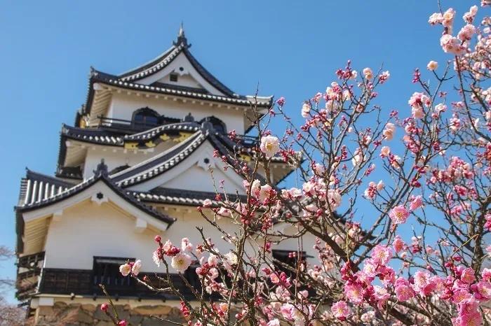 日本网友评的亚洲100强城市,日本最想去的城市