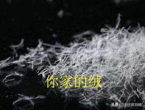 羽绒服钻毛知识,羽绒服钻绒毛是质量问题吗