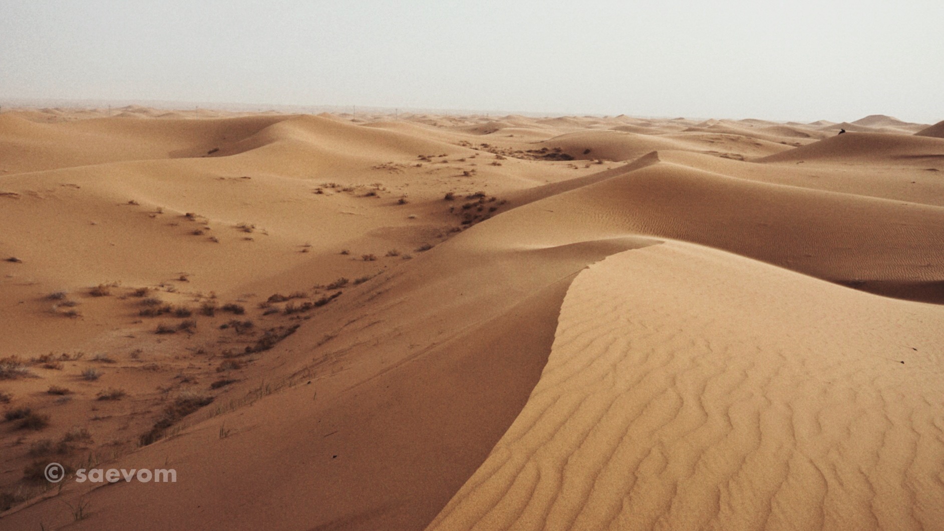 宁夏腾格里沙漠游玩攻略,宁夏沙漠旅行攻略