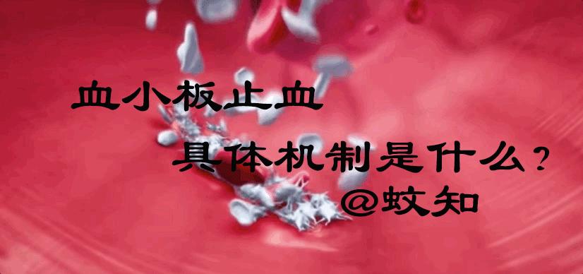 血小板破裂是什么意思,血小板凝固原因