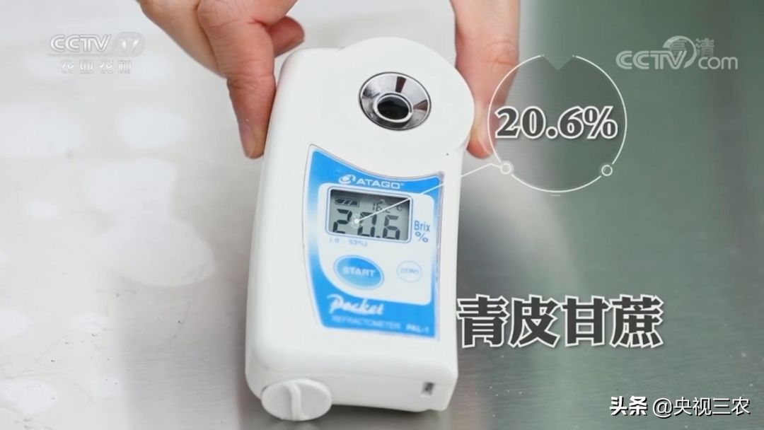 红糖补血吗可以经常喝吗,红糖真的可以补血吗