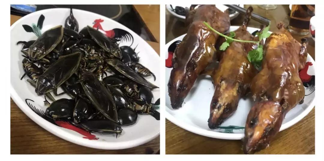 我怀疑全广州最好吃的都在番禺......