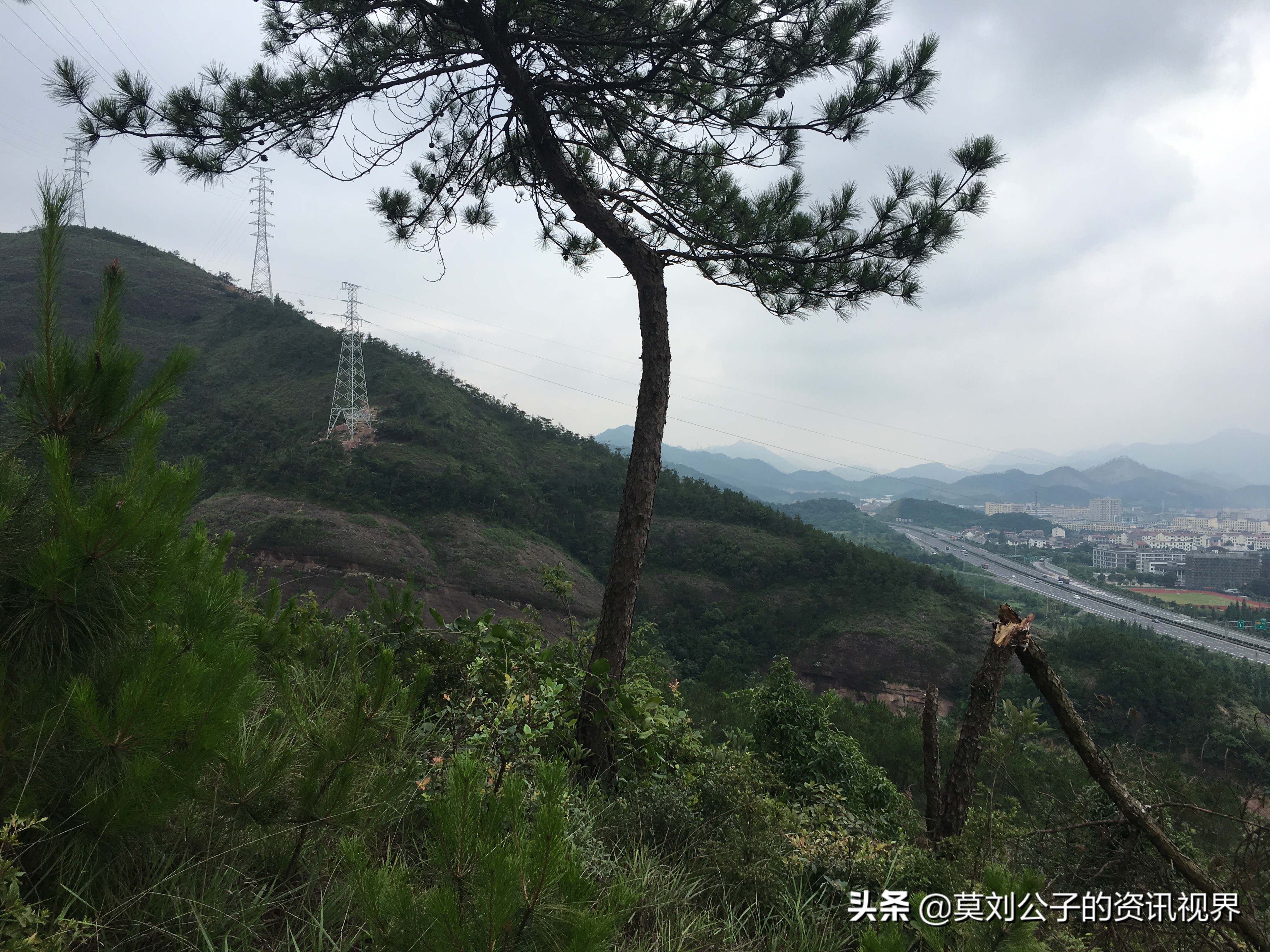 义乌财政收入为什么这么高,为什么义乌的人均收入这么高