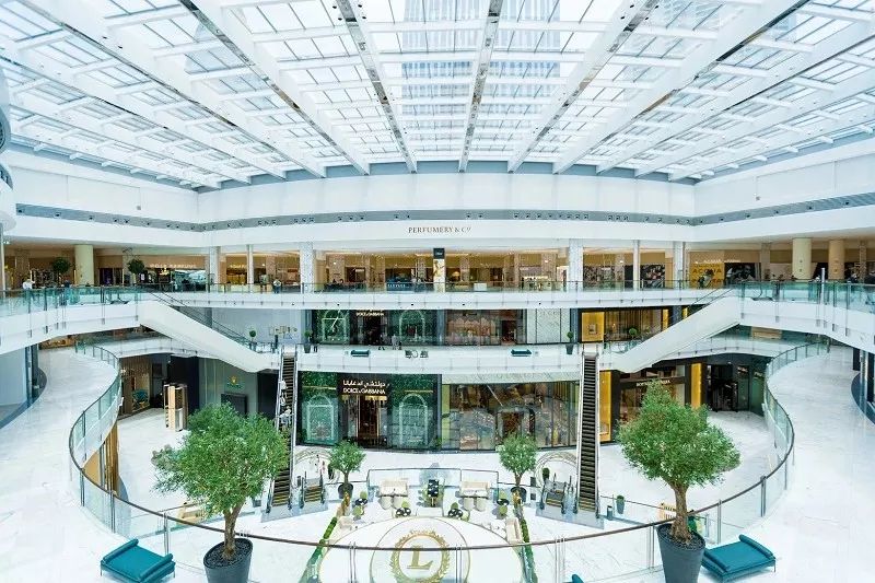 迪拜王子鄙视链,迪拜留学鄙视链