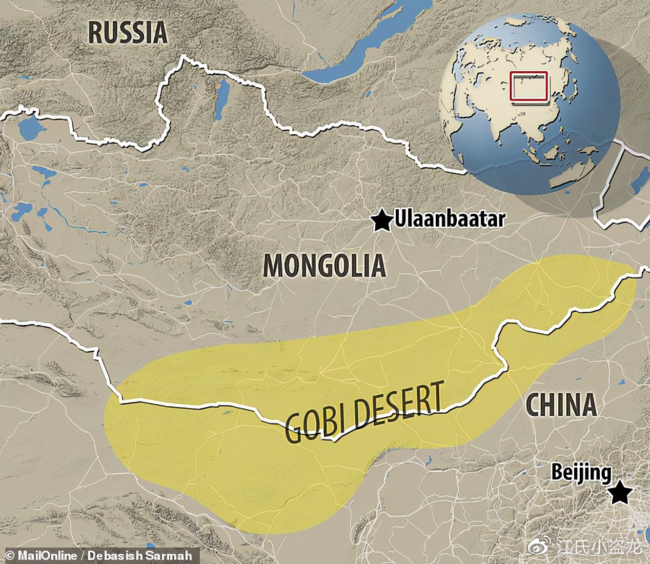 怪兽恐龙化石图片大全,恐龙化石里的怪兽