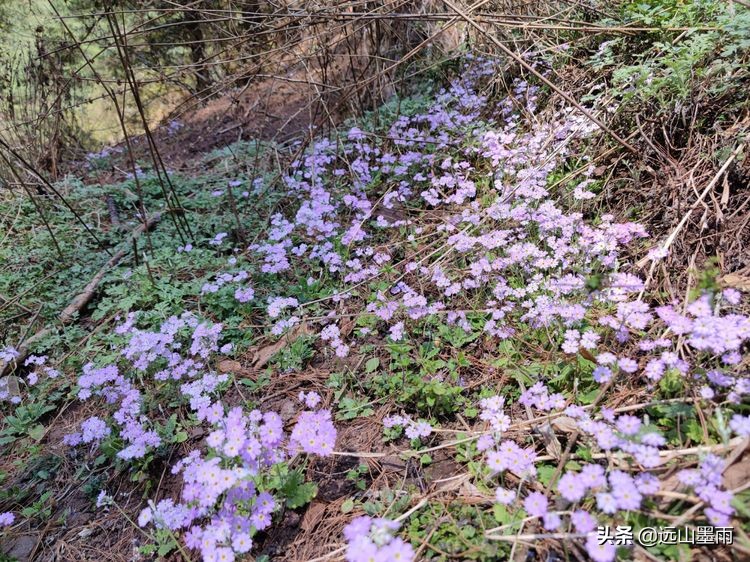 昆明谷堆山攻略,昆明棋盘山徒步攻略