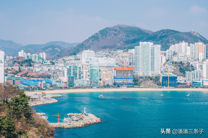 去韩国不购物回来的感受,去韩国一定要买什么