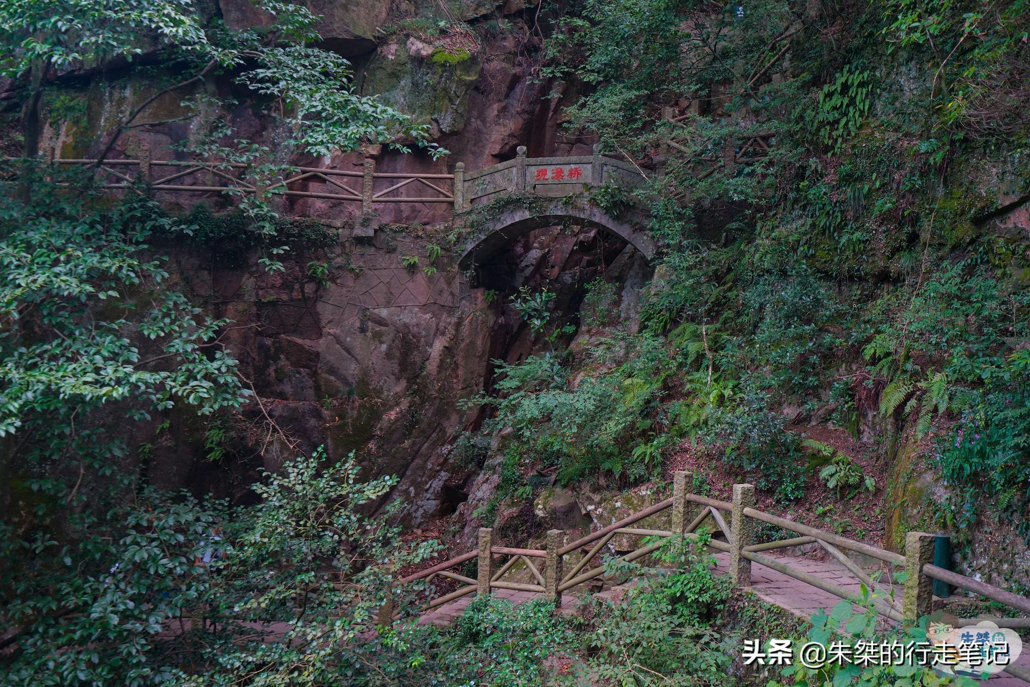 莫干山避暑旅游景点推荐,春光无限好赏花正当时