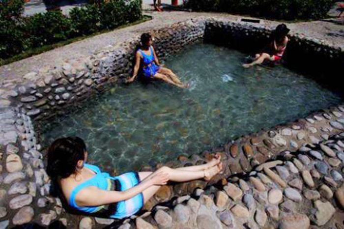 蒲城巴厘岛温泉价格表,蒲城巴厘岛温泉今日营业吗