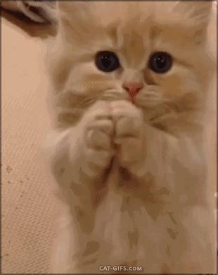 专本连读和专升本哪个含金量高,专升本3+2好上吗